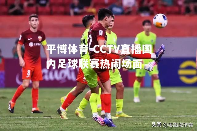 CCTV直播国内足球联赛热闹场面